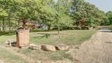 10691 Fawn Lane - Photo 5