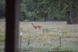 36953 Us Highway 70 - Photo 46