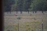 36953 Us Highway 70 - Photo 48