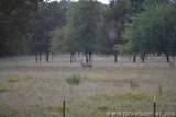 36953 Us Highway 70 - Photo 49