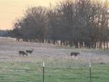 36953 Us Highway 70 - Photo 50