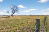  Hwy 69 - Photo 10