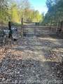  Goff Circle - Photo 1