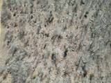 000 Serenity Road - Photo 24