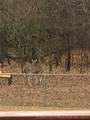4859 1700 Road - Photo 17