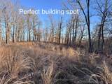 4395 Oaks Road - Photo 3