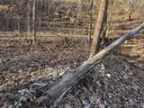 4395 Oaks Road - Photo 44