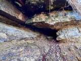 4395 Oaks Road - Photo 49