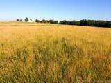 3475 Highway 75 - Photo 27