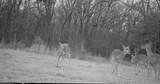 3475 Highway 75 - Photo 37