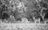 3475 Highway 75 - Photo 41