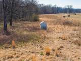17583 390 Road - Photo 8