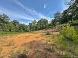 13725 527 Road - Photo 10