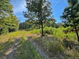 13725 527 Road - Photo 37