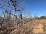 13725 527 Road - Photo 45