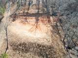 13725 527 Road - Photo 5