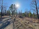 13725 527 Road - Photo 50