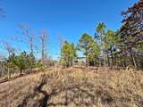13725 527 Road - Photo 51