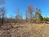 13725 527 Road - Photo 54