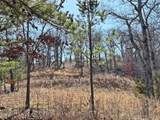 13725 527 Road - Photo 56