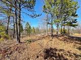 13725 527 Road - Photo 57