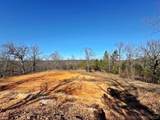 13725 527 Road - Photo 60