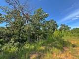 13725 527 Road - Photo 62