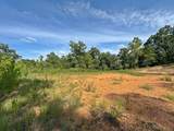 13725 527 Road - Photo 63