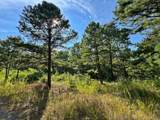 13725 527 Road - Photo 68