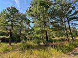 13725 527 Road - Photo 69