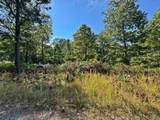13725 527 Road - Photo 70