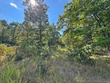 13725 527 Road - Photo 71