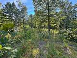 13725 527 Road - Photo 73