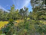 13725 527 Road - Photo 74