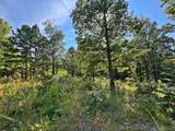 13725 527 Road - Photo 75