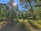 13725 527 Road - Photo 76