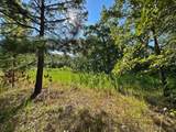 13725 527 Road - Photo 77