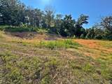 13725 527 Road - Photo 78