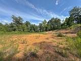 13725 527 Road - Photo 8