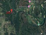 13725 527 Road - Photo 94
