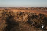 397 Avenue - Photo 55