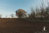  397 Avenue - Photo 62