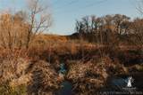  397 Avenue - Photo 71