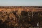  397 Avenue - Photo 77
