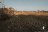  397 Avenue - Photo 84