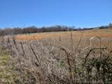  Hwy 51 - Photo 11