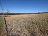 Hwy 51 - Photo 5