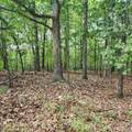 1103 Brown Bear Trail - Photo 2
