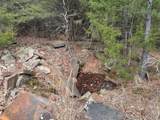  Turkey Creek Road - Photo 11