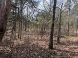  Turkey Creek Road - Photo 3